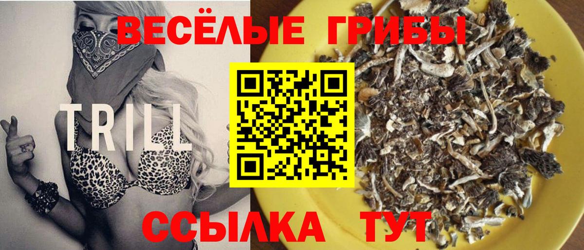 Псилоцибиновые грибы ЛСД Ангарск